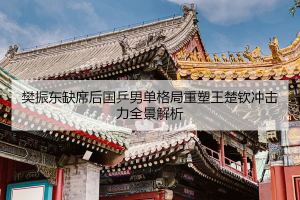 樊振东缺席后国乒男单格局重塑王楚钦冲击力全景解析